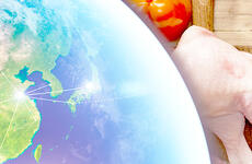 About FSAS